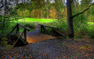 Bridge To The Forest     2560x1600 bridge, to, the, forest, , , 