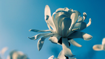     619397 (a): :2560x1440
