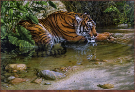 Lee Kromschroeder - Tiger River     2559x1750 lee, kromschroeder, tiger, river, , 
