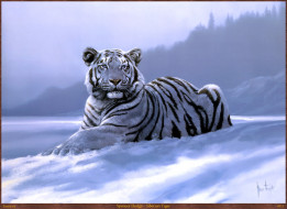 Spencer Hodge - Siberian Tiger обои для рабочего стола 2033x1481 spencer, hodge, siberian, tiger, рисованные, тигр, арт
