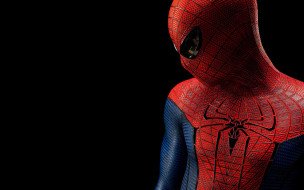 The Amazing Spider-Man     1920x1200 the, amazing, spider, man, , , -