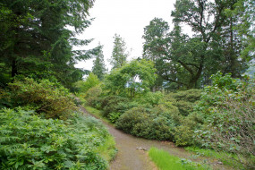      1920x1280 , , , ardkinglas, woodland, gardens