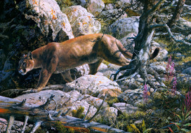 Silent Passage     2557x1792 silent, passage, , carl, brenders, painting, cougar, forest, mountain, lion, mountains, rocks, beast, of, prey, cat, animal