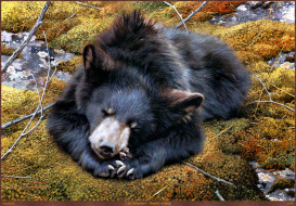 Carl Brenders - Bearly Asleep     2295x1600 carl, brenders, bearly, asleep, , , , 