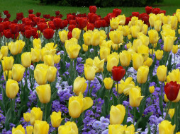    624533 (a): :1600x1200