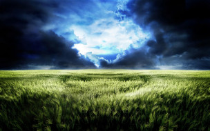 природа, поля, облака, трава, небо