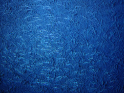     629162 (a):ARWENN :3000x2250