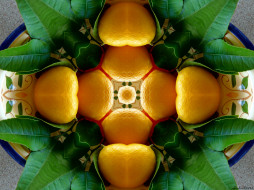     632676 (a): :2174x1630