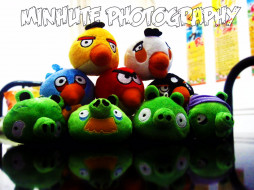 angry birds     1696x1272 angry, birds, , 