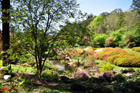 National Rhododendron Gardens, Olinda      2590x1720 national, rhododendron, gardens, olinda, , , 