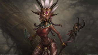 Diablo III     2560x1440 diablo, iii, , , , witch, doctor, -