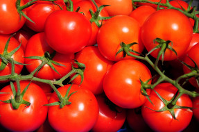 еда, помидоры, красный, круглый, веточки, томаты