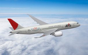 Boeing 787 Dreamliner JAL     2560x1600 boeing, 787, dreamliner, jal, , 3, , graphic, , , 