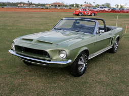 ford, mustang, shelby, gt, 500kr, convertible, 