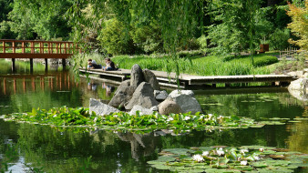 Japanese Garden Wroclaw, Park Szczytnicki     2200x1238 japanese, garden, wroclaw, park, szczytnicki, , 