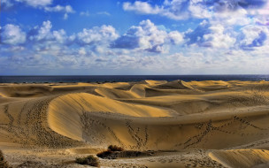 Dune Tracks     1920x1200 dune, tracks, , , , , , 