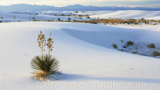     648678 (a):bonya58 :1920x1080