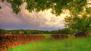 Stack wood     2560x1440 stack, wood, , , , , , 