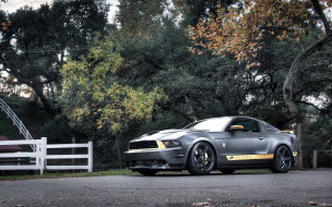 Ford Mustang Chicane Edition     1920x1200 ford, mustang, chicane, edition, , , , 
