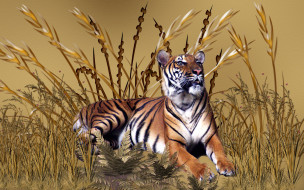 Golden Tiger     1920x1200 golden, tiger, 3, , animals, , , , 