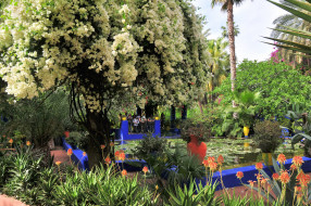 Morocco  Marrakech  Jardin Majorelle     3100x2060 morocco, marrakech, jardin, majorelle, , , , , 