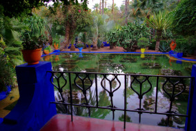 Morocco  Marrakech  Jardin Majorelle     2600x1740 morocco, marrakech, jardin, majorelle, , , , 