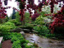     Alter   Botanical Gardens     2560x1920 
