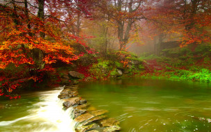 Misty Forest River     1920x1200 misty, forest, river, , , , , , 