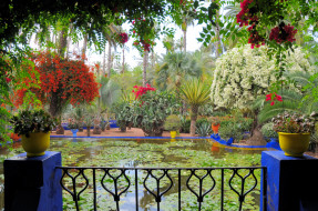 Morocco  Marrakech  Jardin Majorelle     2590x1720 morocco, marrakech, jardin, majorelle, , , , , 