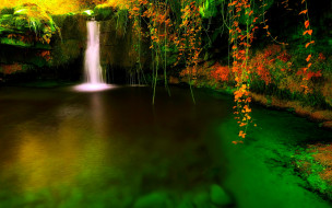 FOREST FALLS     1920x1200 forest, falls, , , , , 
