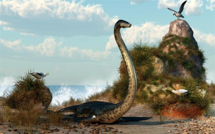 Elasmosaurus     1920x1200 elasmosaurus, 3, , animals, , , , 