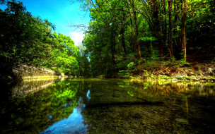 FOREST RIVER     1920x1200 forest, river, , , , , 
