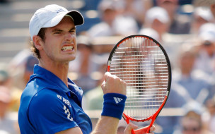 Andy Murray     1920x1200 andy, murray, , , 