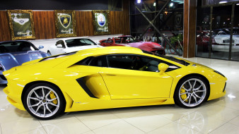 Lamborghini Aventador     1920x1080 lamborghini, aventador, , , , , , , 