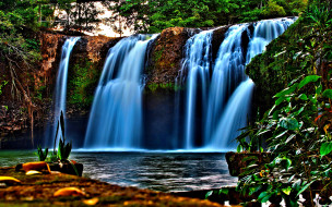 FOREST FALLS     1920x1200 forest, falls, , , , 