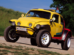 Volkswagen Beetle 4x4     1024x768 volkswagen, beetle, 4x4, , 