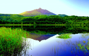 GREEN FOREST LAKE     1920x1200 green, forest, lake, , , , , 