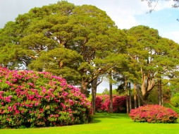Muckross House  Garden, Ireland     2200x1650 muckross, house, garden, ireland, , , , 