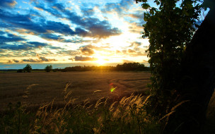 Sunset over cornfield     1920x1200 sunset, over, cornfield, , , , , , , 