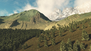     659018 (a): :1920x1080