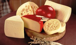 Cheese     4800x2880 cheese, , , , , 