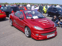 peugeot, 206, 