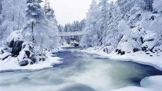 Frozen River and Trees     1920x1080 frozen, river, and, trees, , , , , 