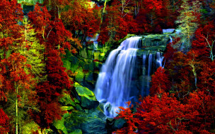 AUTUMN FOREST FALLS     1920x1200 autumn, forest, falls, , , , , , , 