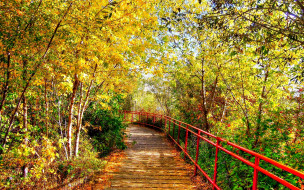 Autumn Path     1920x1200 autumn, path, , , , , 