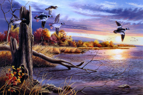 Autumn Waters     2508x1683 autumn, waters, , , , , 