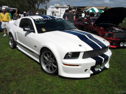 Ronaele Mustang     1024x768 ronaele, mustang, , ford