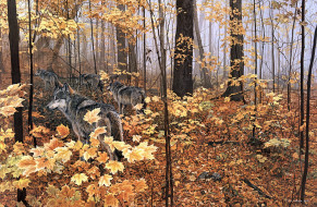 Ron S.Parker, Autumn Maples,     2330x1525 ron, parker, autumn, maples, , ronald, , , , , , , , 