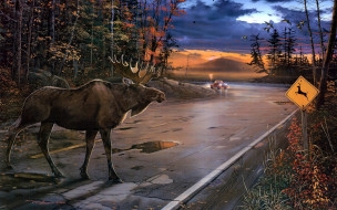 Deer Crossing     1680x1050 deer, crossing, , ervin, molnar, , , , 