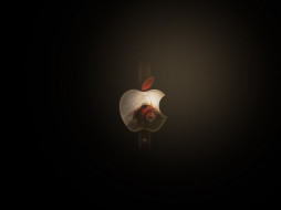     1920x1440 , apple